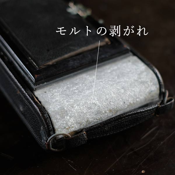 蛇腹カメラ(スプリングカメラ)