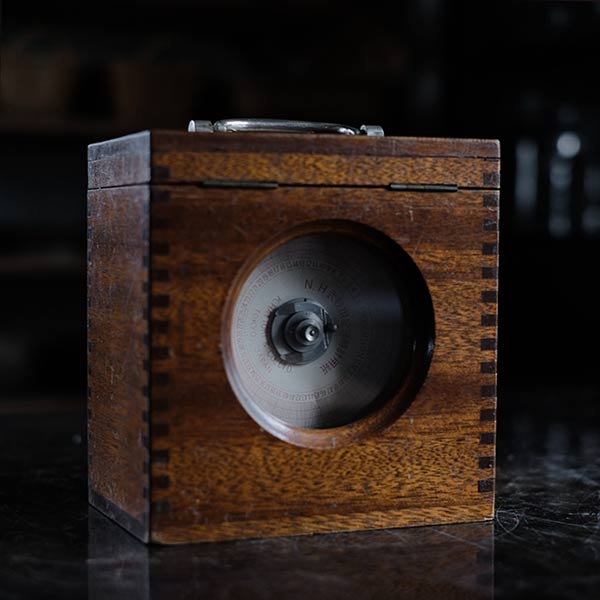 Pigeon racing record clock