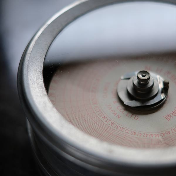 Pigeon racing record clock