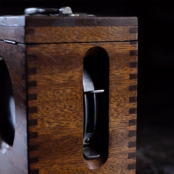 Pigeon racing record clock