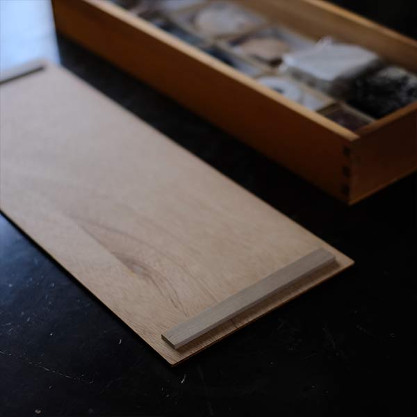 plant fossil specimens