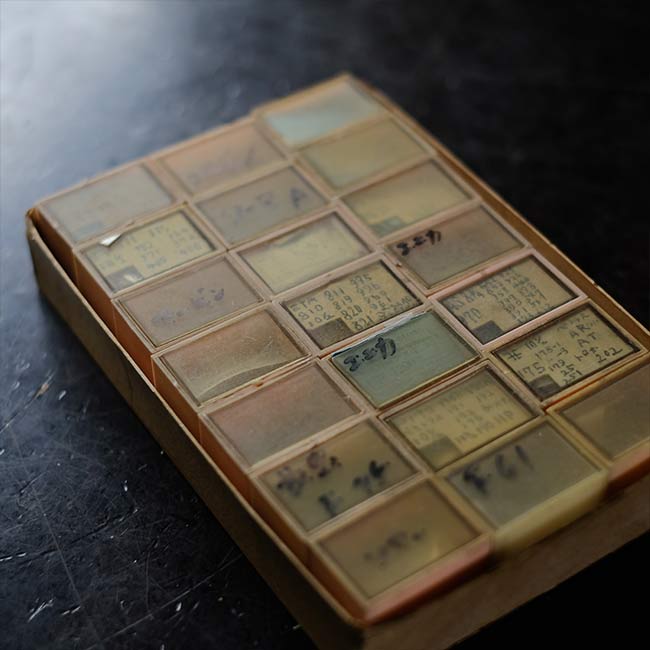 Set of 21 mechanical watch parts cases