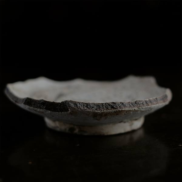 Remains of a fish-patterned bowl