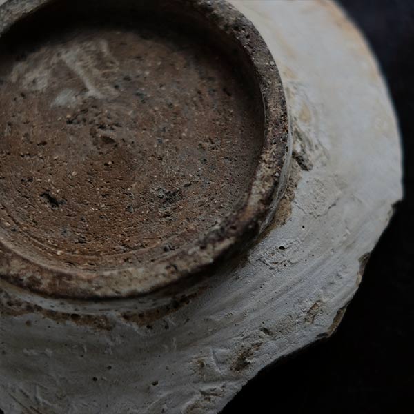 Remains of a fish-patterned bowl
