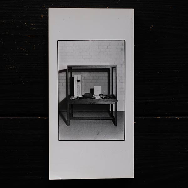 レボリューション / 美術の60年代 ウォーホルからボイスまで