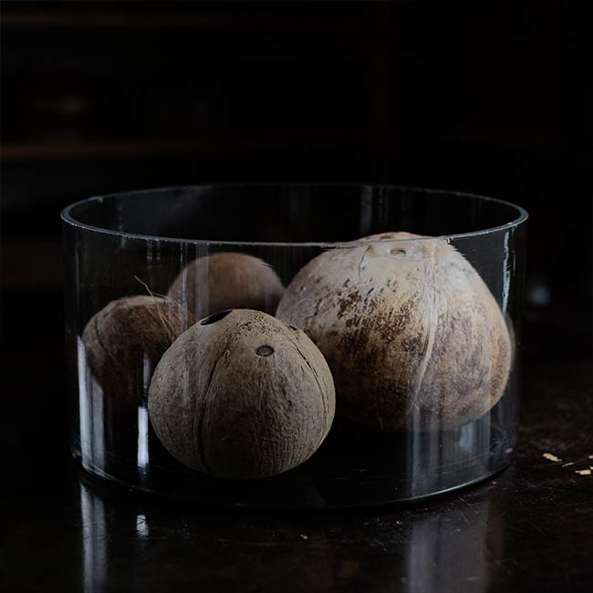 Round glass aquarium φ30cm