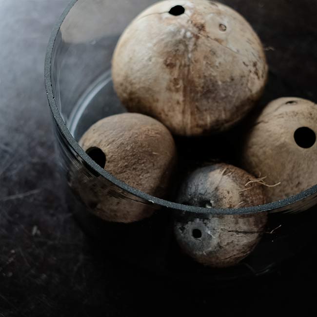 Round glass aquarium φ30cm