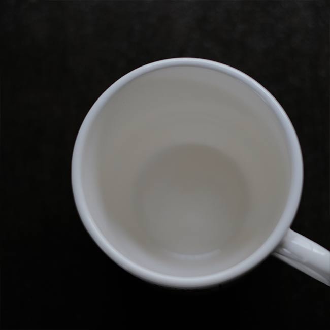 SEARS Catalog Mug