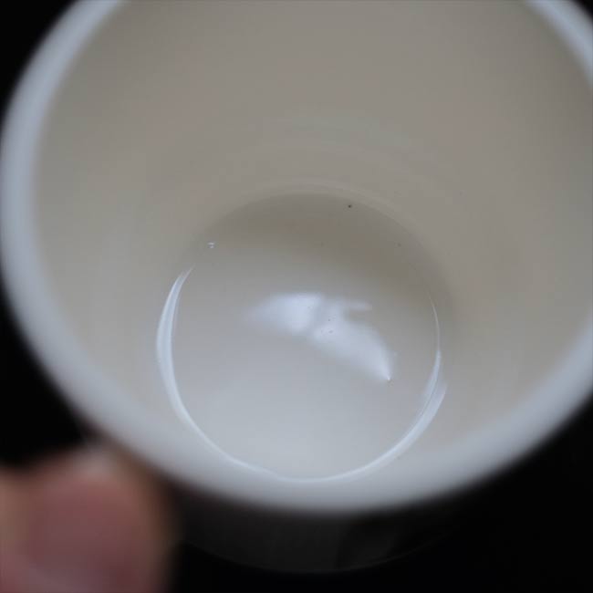SEARS Catalog Mug