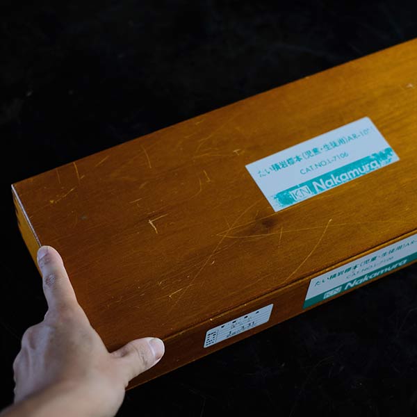 Sedimentary rock specimens