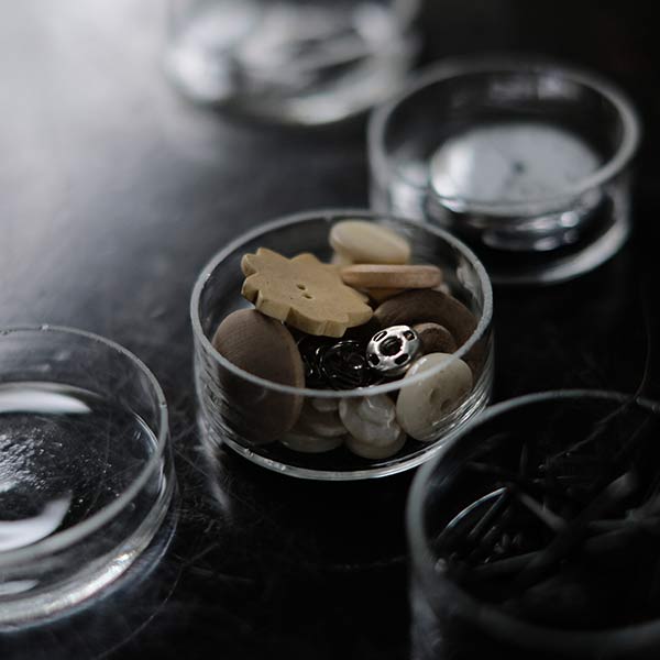 Bean petri dish (sold individually)