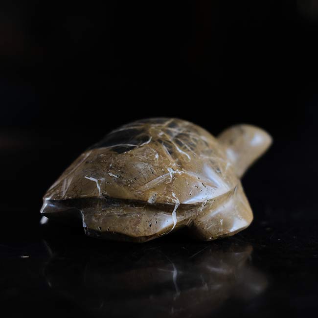 Stone sea turtle