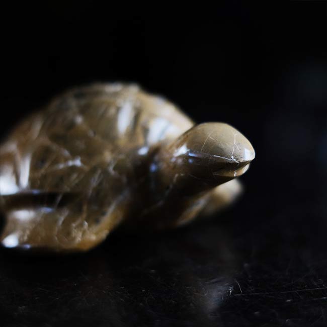 Stone sea turtle