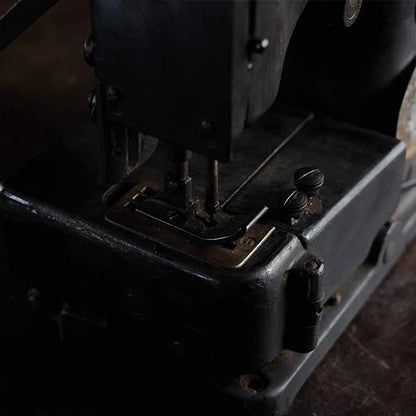 TAIYO Sewing Machine