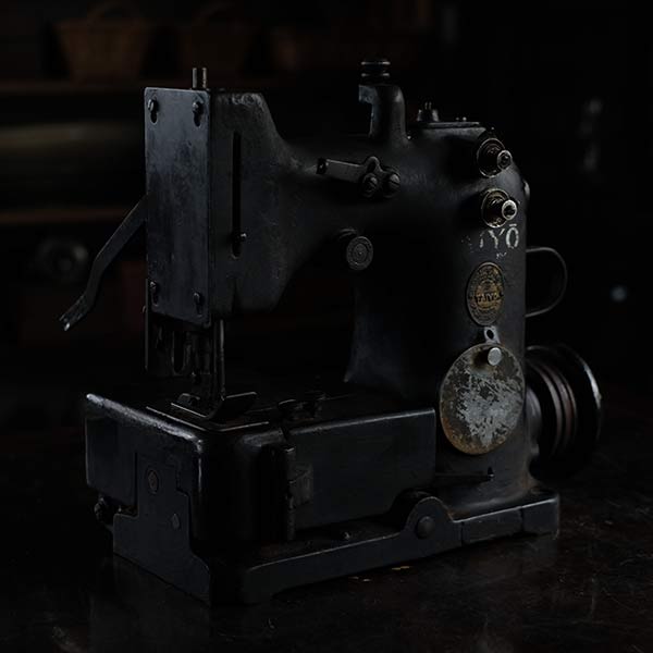 TAIYO Sewing Machine