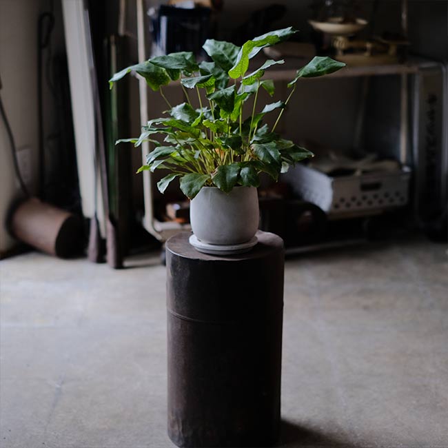 Rusty tin can
