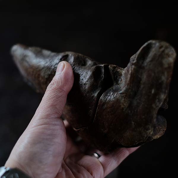 流木のオブジェ