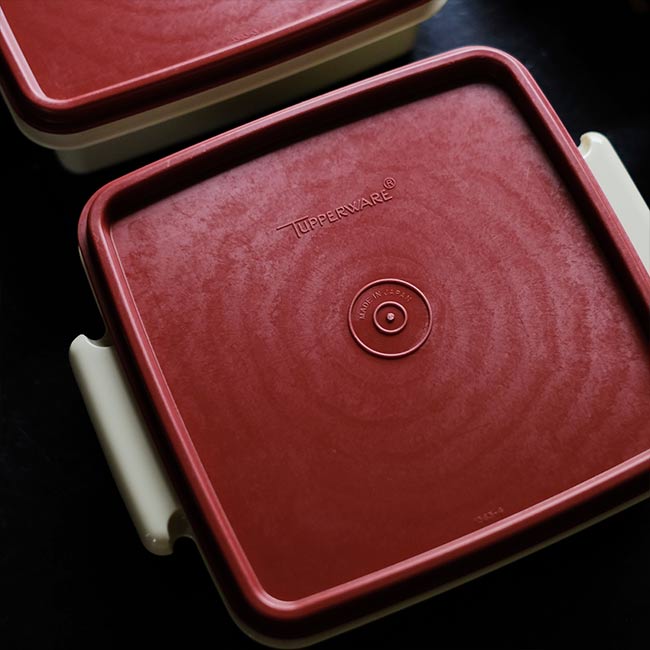 TUPPERWARE Lunch Box