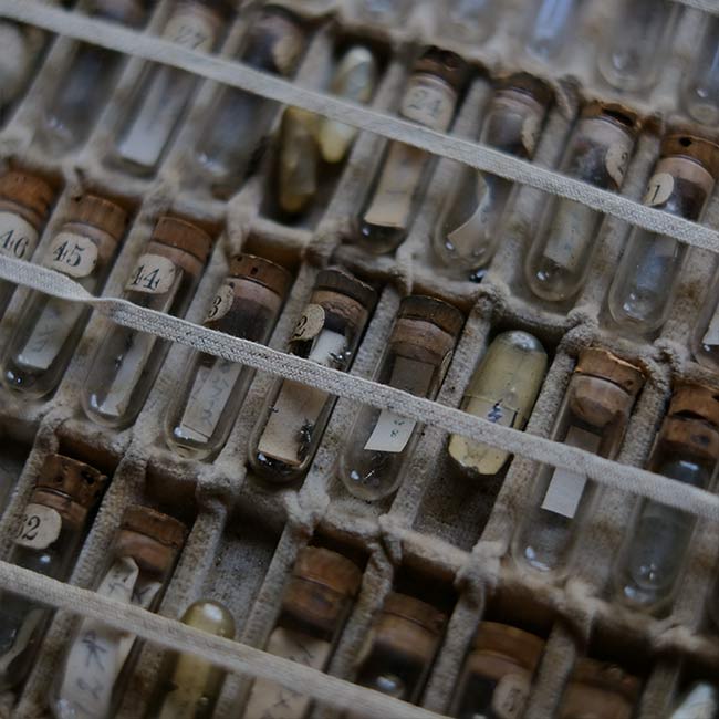 A set of small jars containing mechanical watch parts