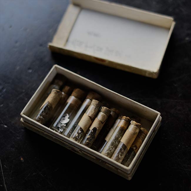 Set of mechanical watch parts jars