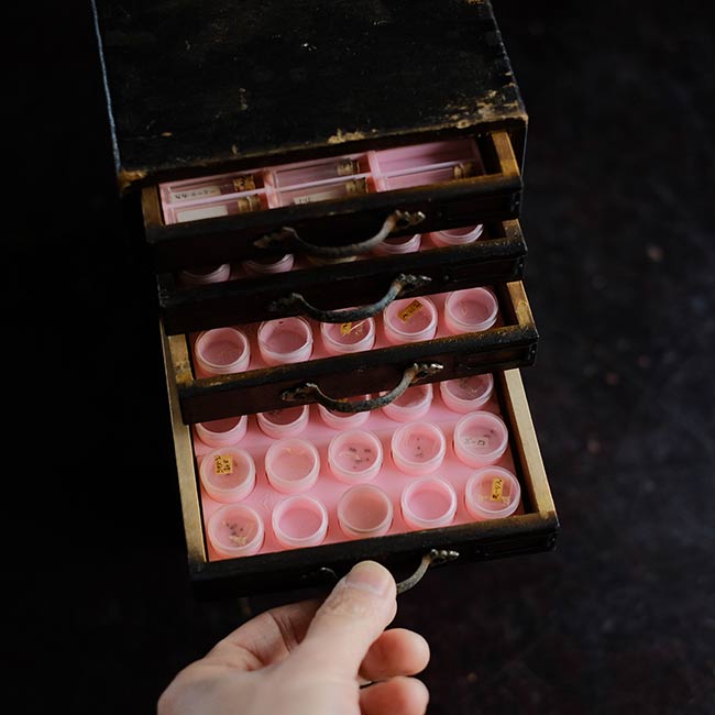 watchmaker's drawer