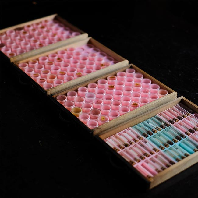 watchmaker's drawer