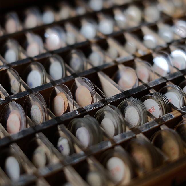 watchmaker's drawer