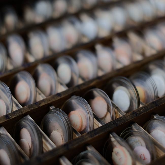 watchmaker's drawer