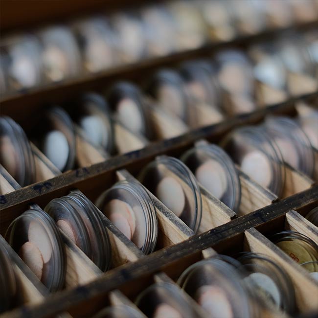 watchmaker's drawer