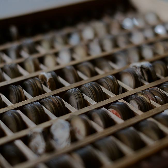 watchmaker's drawer