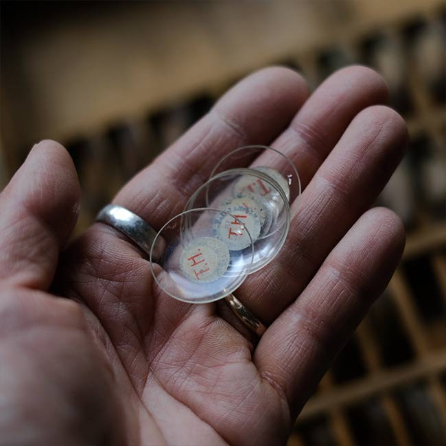 watchmaker's drawer