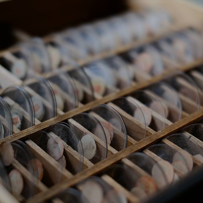 watchmaker's drawer