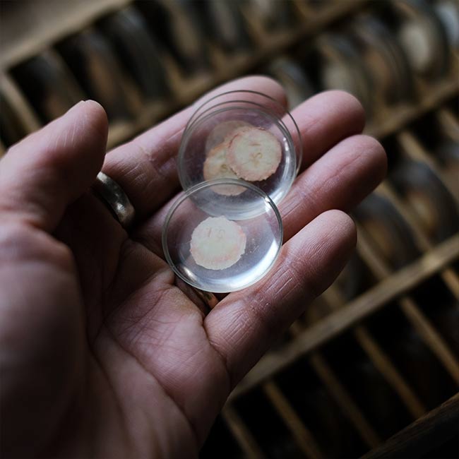 watchmaker's drawer