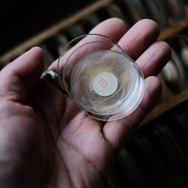 watchmaker's drawer