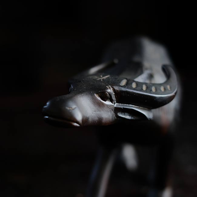 buffalo figure