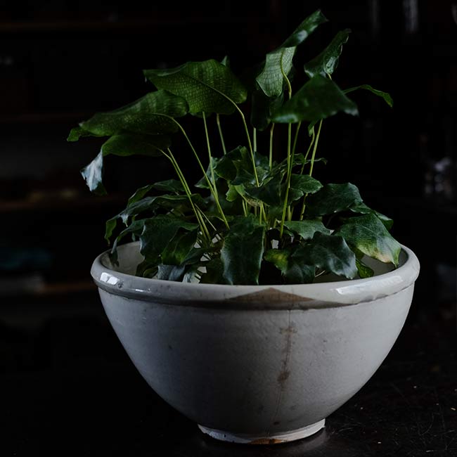 kneading bowl