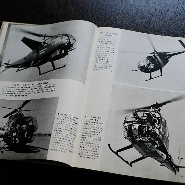 Wings of the World '65