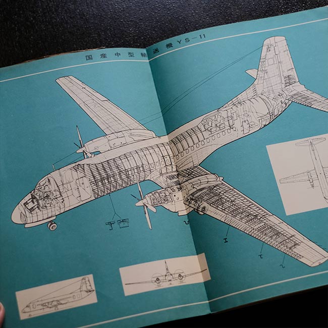 Wings of the World '65