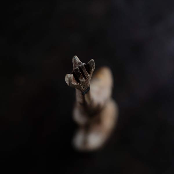 Wooden carved giraffe