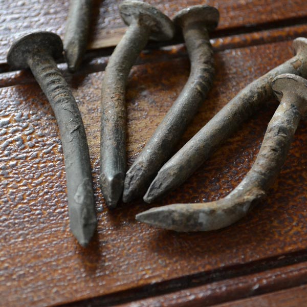 Bent date nails (sleeper nails)