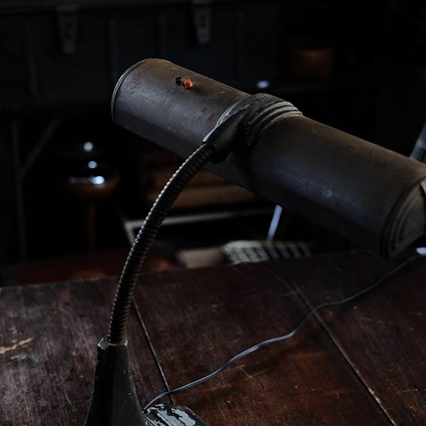 Art Specialty Co. Gooseneck Desk Lamp
