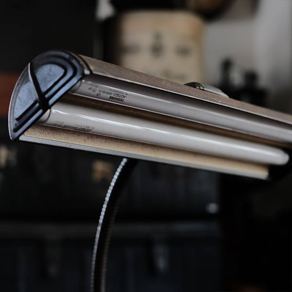 Art Specialty Co. Gooseneck Desk Lamp