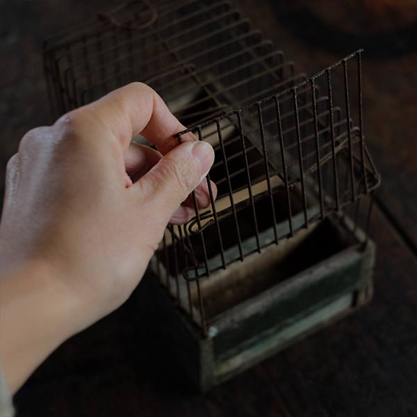 ベルギーの古びたバードケージ 鳥かご(2)