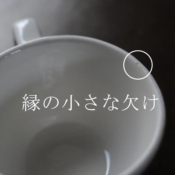Buffalo Lined Mug