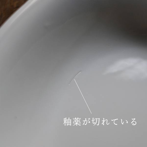 White porcelain curry plate