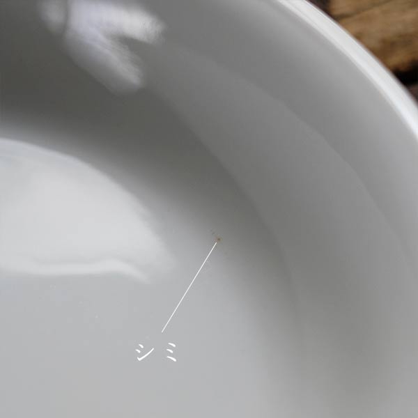 White porcelain curry plate
