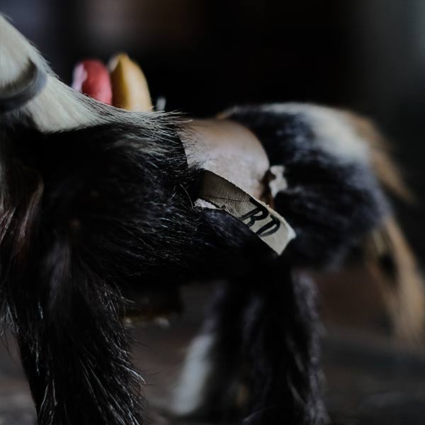 Donkey doll