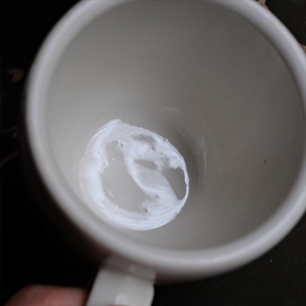 Victor mug (early model)
