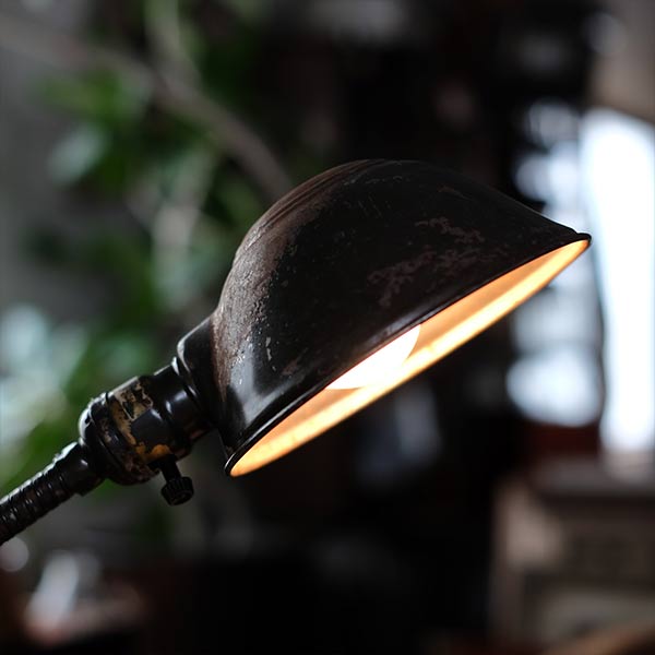 Eagle Gooseneck Desk Lamp