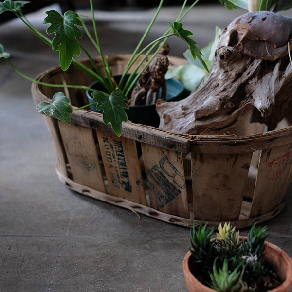 French wooden basket